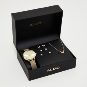 ALDO Kedirede Analog watch and jewelry
